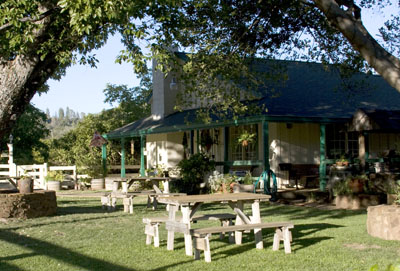 Laraine tasting room